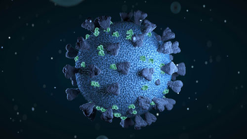 Virus